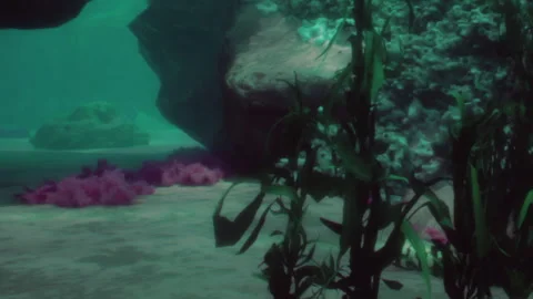 Underwater scene with plants and rocks near the ocean floor Stock Footage 345061889