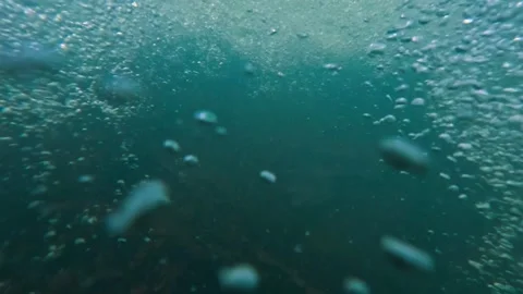 Underwater Scene with Rising Air Bubbles Stock Footage 344707144