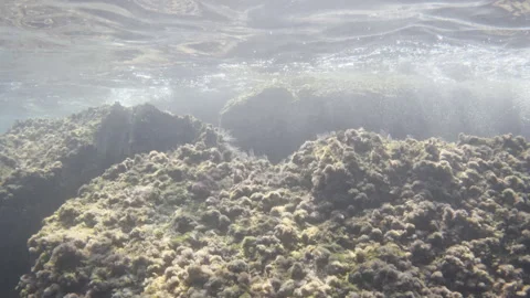 Underwater scene with rocks covered in algae, light rays penetrating the Stock Footage 343243339