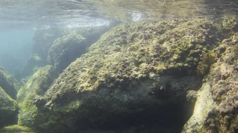 Underwater scene showing large rocks covered in algae and sea plants, bathed in Stock Footage 343179140