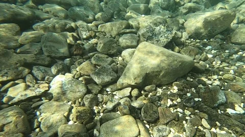 Underwater scene. Sun rays, sun beam, fish and rocks in Fethiye, Mugla, Turkey Stock Footage 259863165
