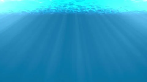 Underwater Scene With Sun Shining Video stock 265951340