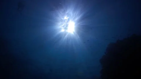 Underwater scene with sunrays Stock Footage 7762588