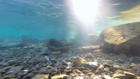 Underwater Scene With Sunrays Shining Through The Water's Surface. Stock Footage 94431695