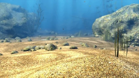 Underwater scenery Loop Stock Footage 74153686