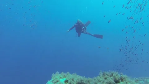 Underwater Scuba Diver Rounded by Fish FHD Stock Footage 146890715