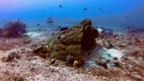 Underwater, scuba diving at Halik Reef, Gili Trawangan, Lombok, Bali - Indonesia Stock Footage 124207993