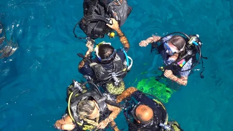 Underwater Scuba Diving Tourists With An Instructor In Red Sea Stock Footage 96668178