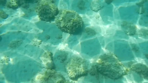 Underwater Sea Sun Rays, Water Video stock 44404471