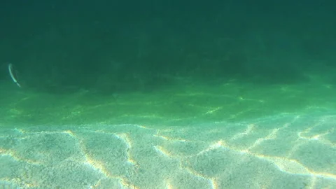 Underwater sea view background Stock Footage 133804590