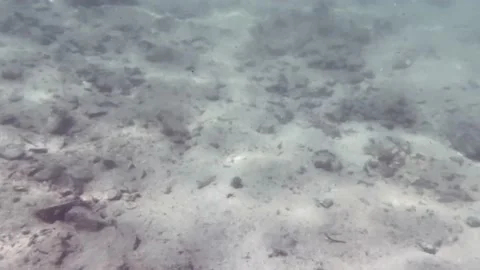 Underwater seabed sunrays Stock Footage 149089078