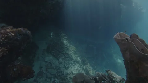 Underwater seascape with caverns of intricate shape on one of the islands of the Stock Footage 346631806