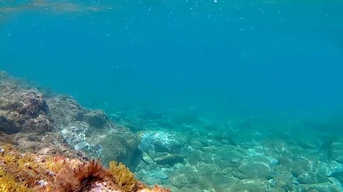 Underwater seascape Stock Footage 75813376