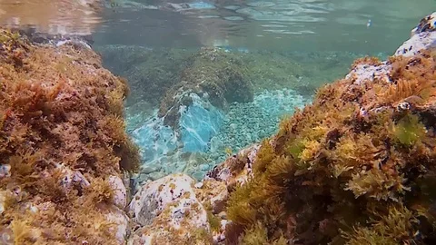 Underwater seascape Stock Footage 75813464