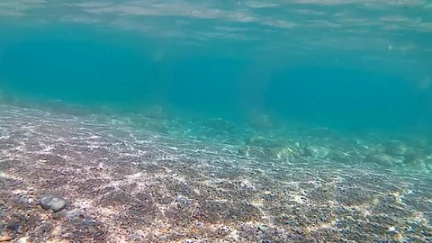 Underwater seascape Stock Footage 75813702