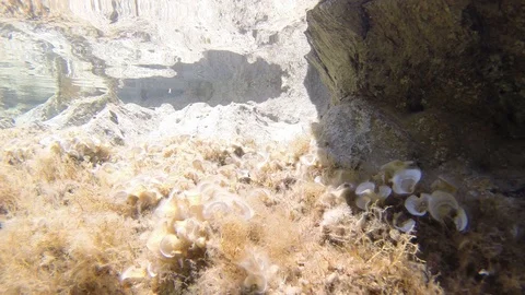 Underwater seascape Video stock 112327041