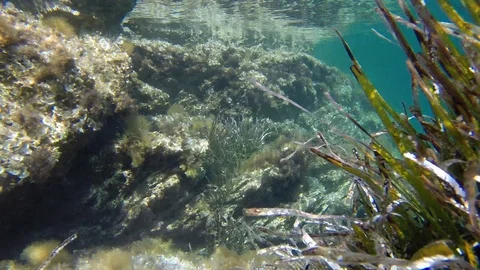 Underwater seascape Video stock 112327099