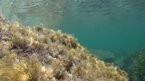 Underwater seascape Stock-Footage 112327111