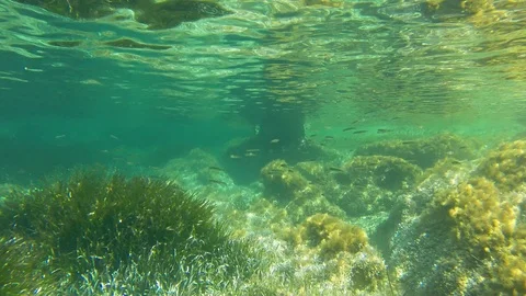 Underwater seascape Video stock 112327117