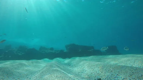 Underwater seascape Video stock 149177961