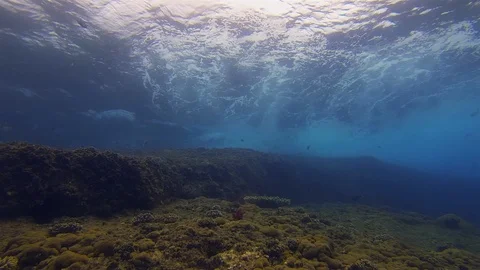 Underwater Seascape. Graceful Dramatic Blue Sunlit Sea Surface Waves &amp; Coral Stock Footage 115855596