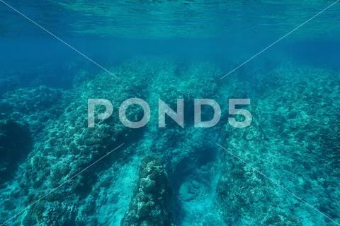 Underwater seascape rocky ocean floor coral reef Stock Photos