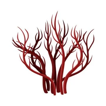 Underwater Seaweed or Algae Growing on the Ocean Bottom Vector Illustration Stock-Illustration