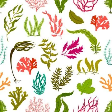 Underwater seaweed plants seamless pattern Illustrazione stock