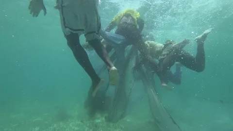 Underwater Seine Net Stock Footage 85239727