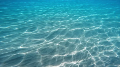 Underwater shapes on the seabed Stock Footage 312584209