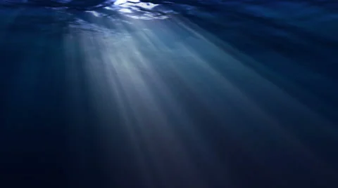 Underwater shine Stock Footage 60208255