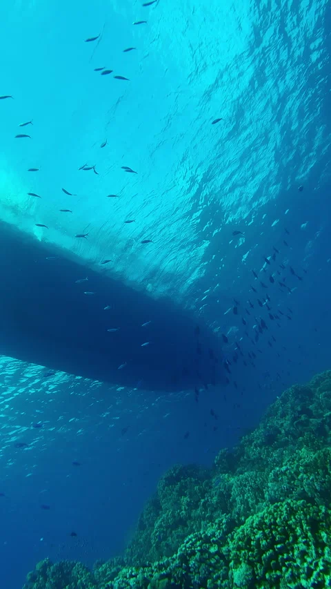 Underwater shoot, Bottom view of ship over coral reef on turquoise surface of Stock Footage 344975079
