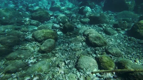 Underwater shoot of a dirty discarded plastic bottle floating in the sea. Stock Footage 134567683