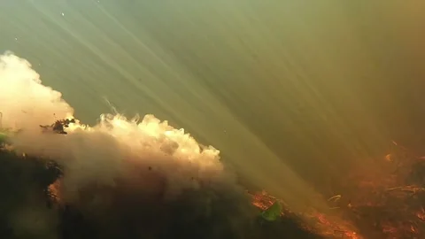 Underwater shooting Stock Footage 162166453