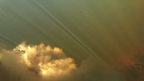 Underwater shooting Stock Footage 162166455