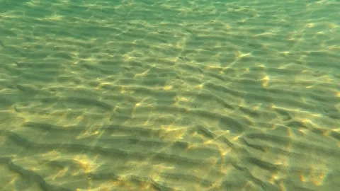 Underwater shooting at sunset time Stock Footage 155465140