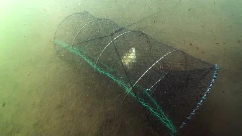 Crayfish Traps, Underwater - Images