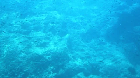 Underwater shot Stock Footage 26170846