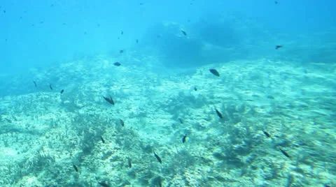Underwater shot Stock Footage 26173012