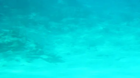 Underwater shot Stock-Footage 26646600