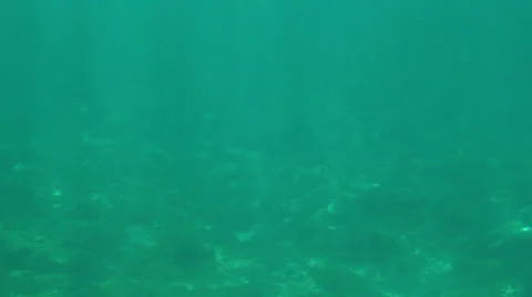 Underwater shot Stock Footage 26646707