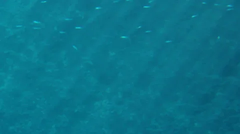 Underwater shot Stock Footage 26647142