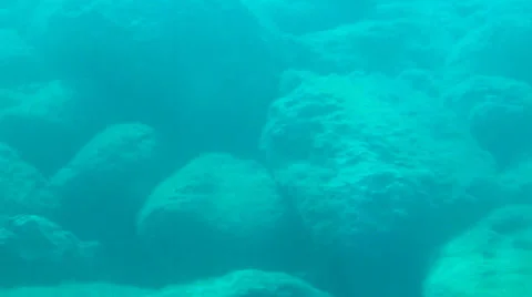 Underwater shot Stock Footage 26647358