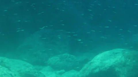 Underwater shot Stock Footage 26647831