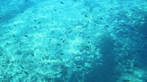 Underwater shot Stock Footage 26648968
