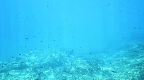 Underwater shot Stock Footage 26649033