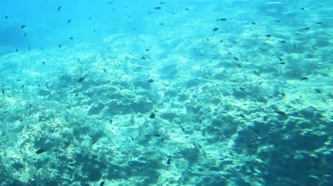 Underwater shot Stock Footage 26649860