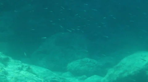 Underwater shot Stock Footage 27692528