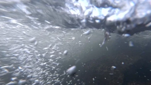 Underwater shot of fresh forest stream Stock Footage 87411630