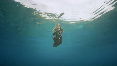 Underwater shot - Garbage floating on the ocean surface with small fish Stock Footage 194308126